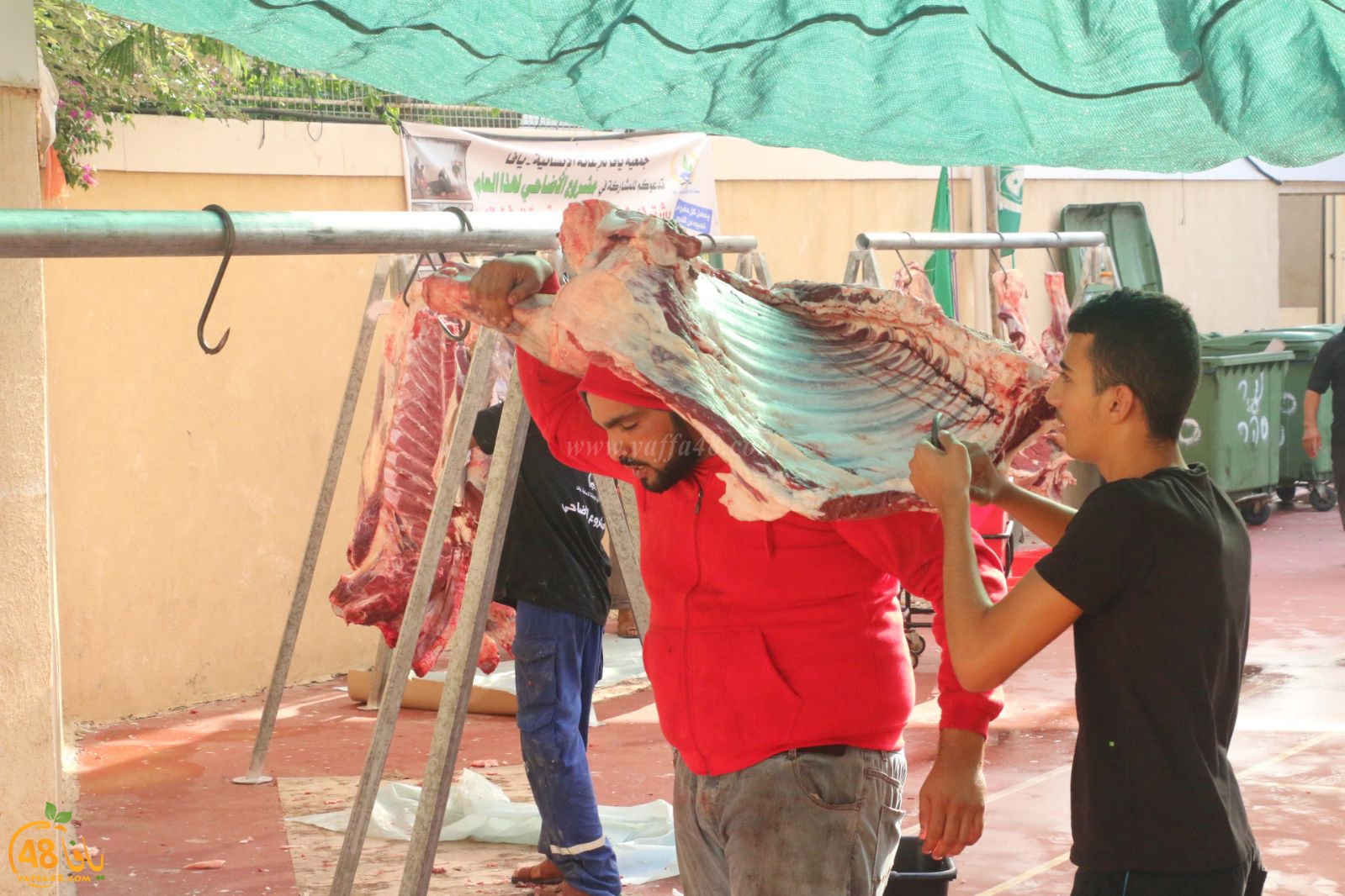 lo7om jam3iya u3 (12).jpg